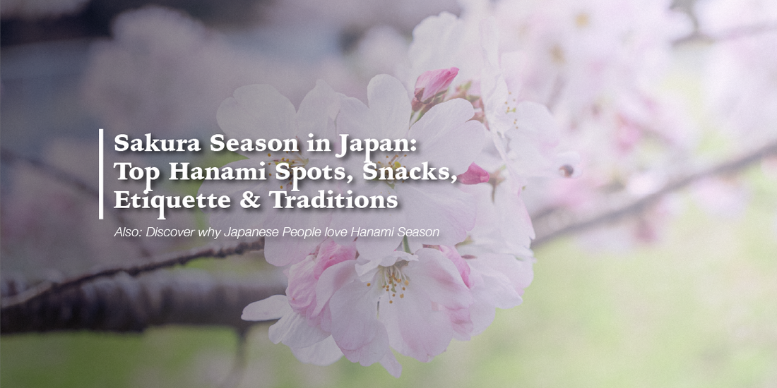 Sakura Season in Japan: Top Hanami Spots, Snacks, Etiquette & Traditions