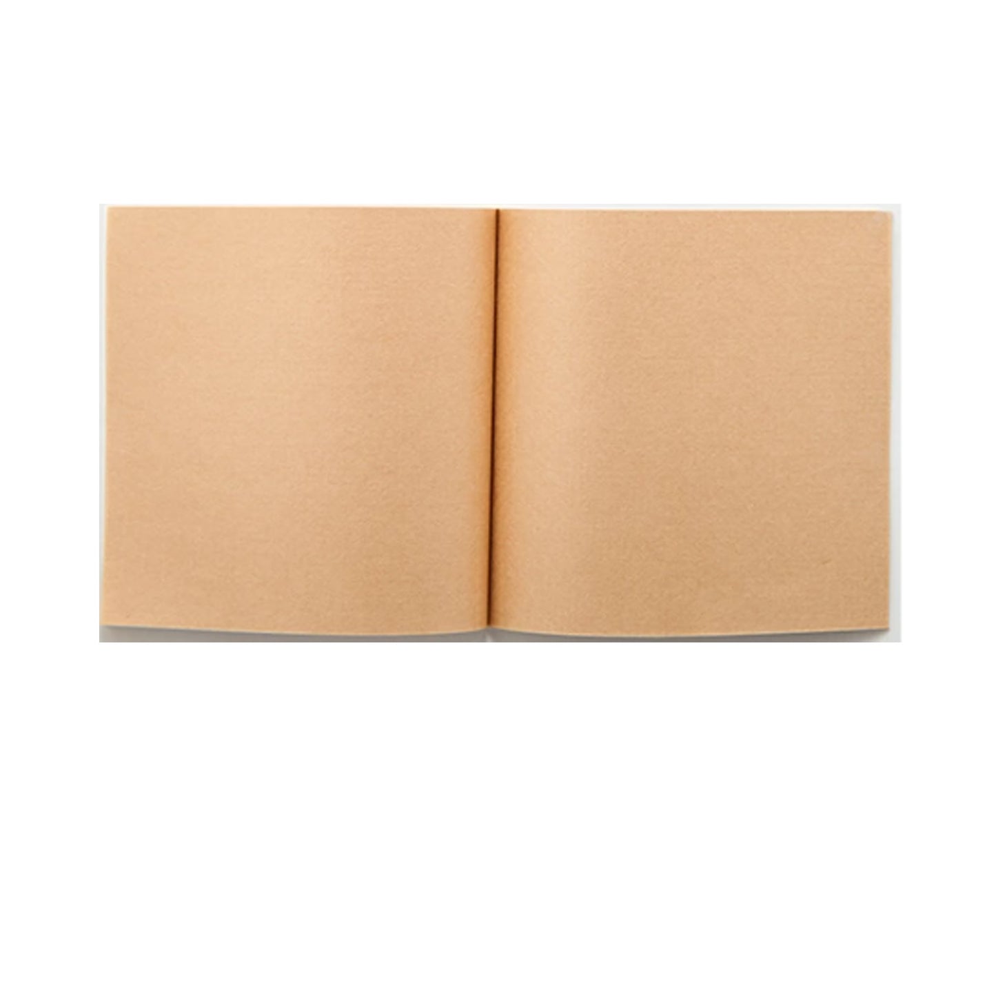 Orbis Face Oil Blotting Paper