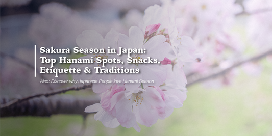 Sakura Season in Japan: Top Hanami Spots, Snacks, Etiquette & Traditions