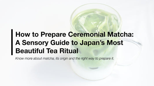 How to Prepare Ceremonial Matcha: A Sensory Guide to Japan’s Most Beautiful Tea Ritual