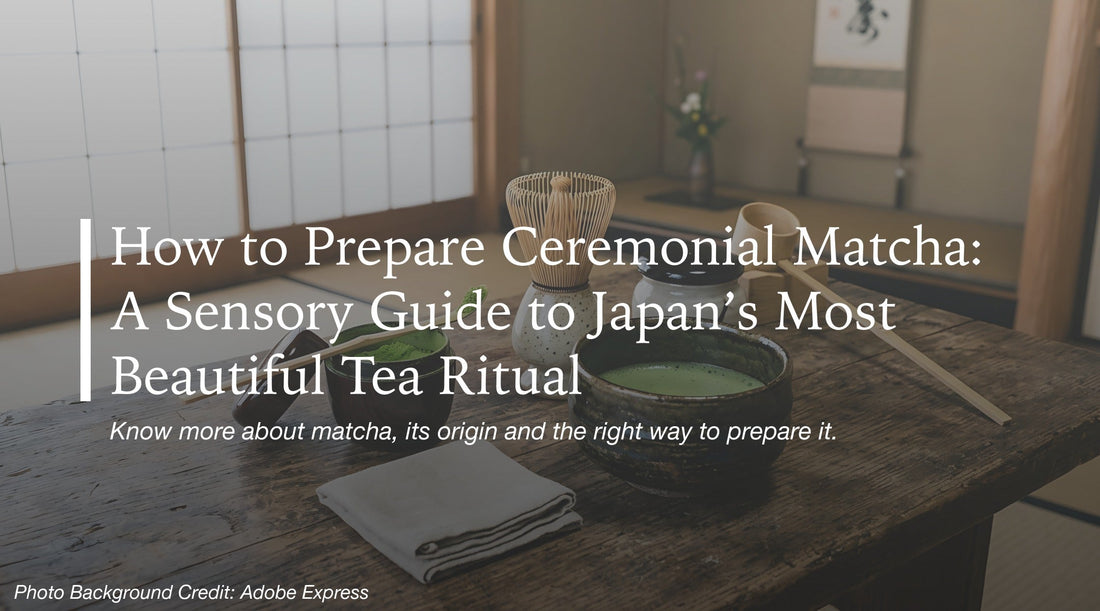 How to Prepare Ceremonial Matcha: A Sensory Guide to Japan’s Most Beautiful Tea Ritual