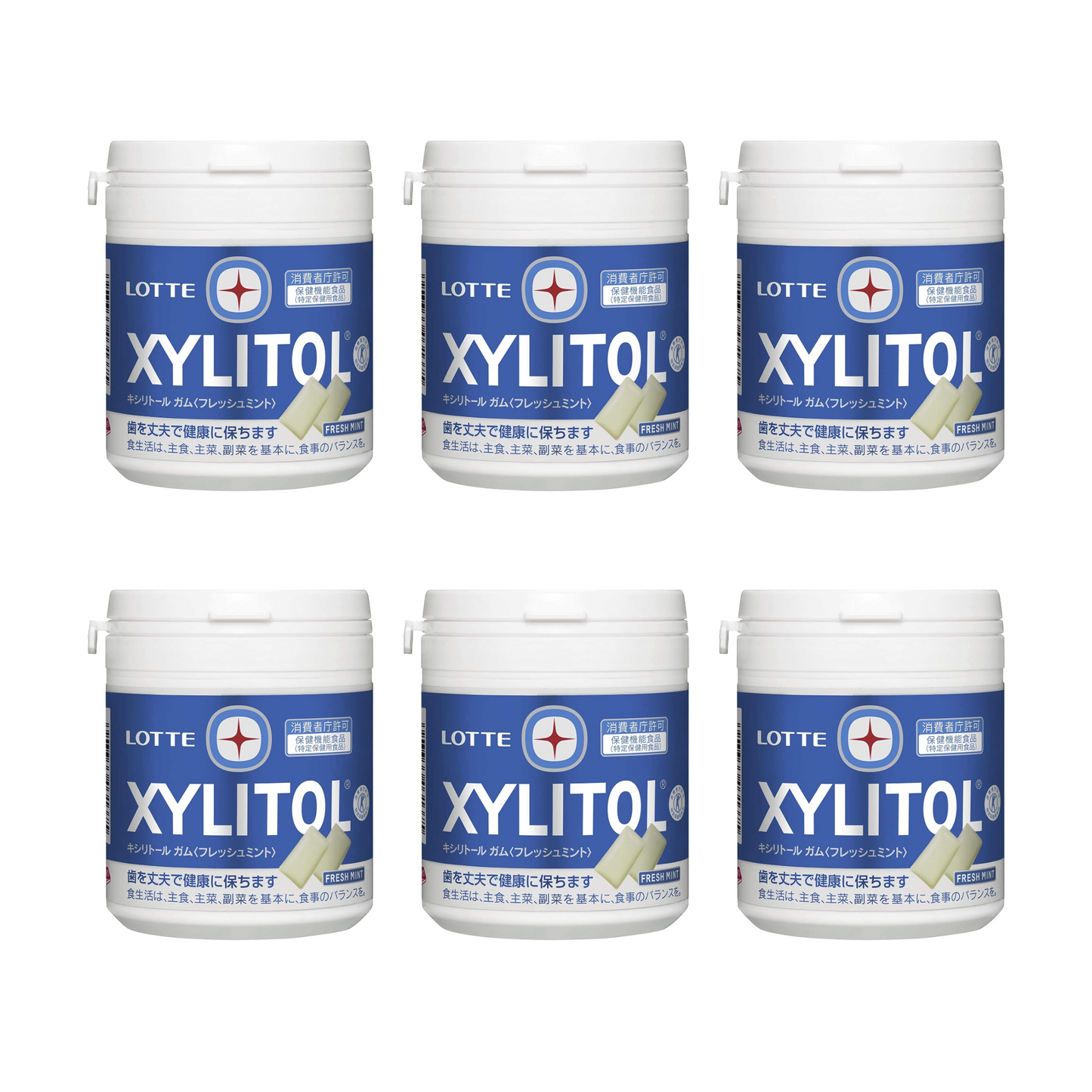 Lotte Xylitol Gum (Fresh Mint) Family Bottle 133g
